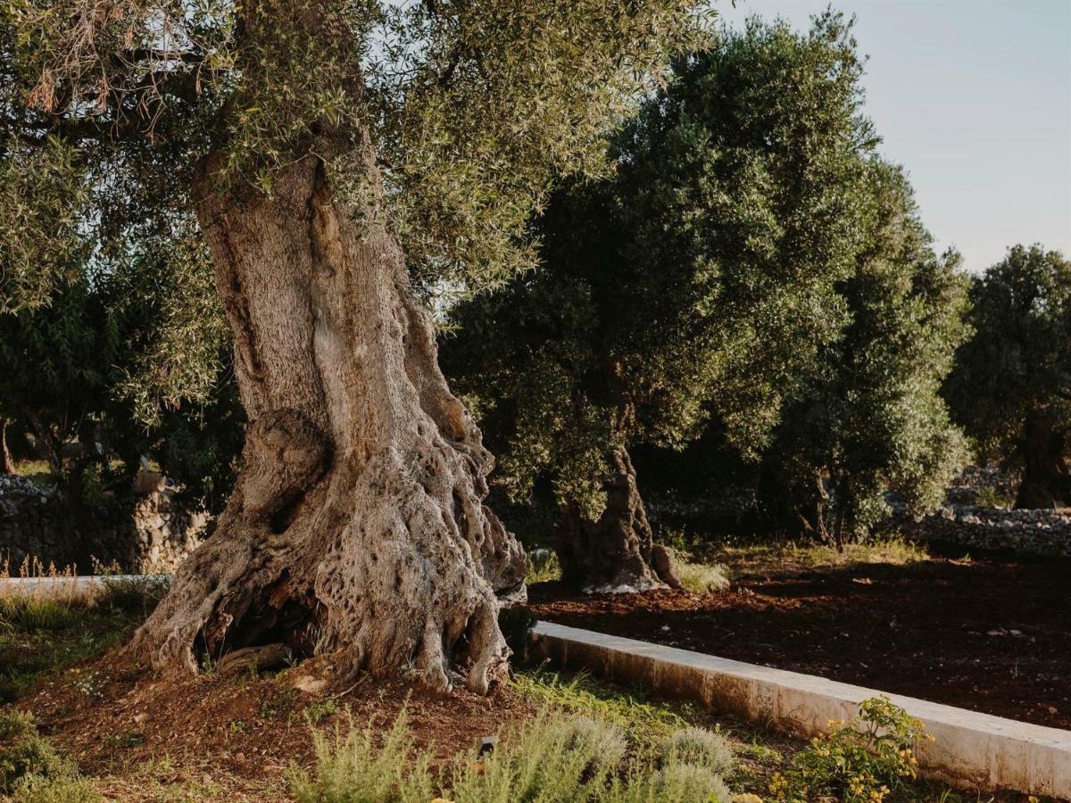 Masseria Dagilupi Ostuni Zewnętrze zdjęcie